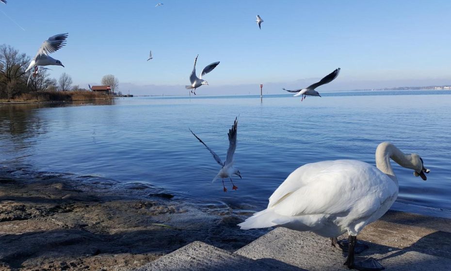 F E R I E N W O H N U N G "Am Halbenstein"