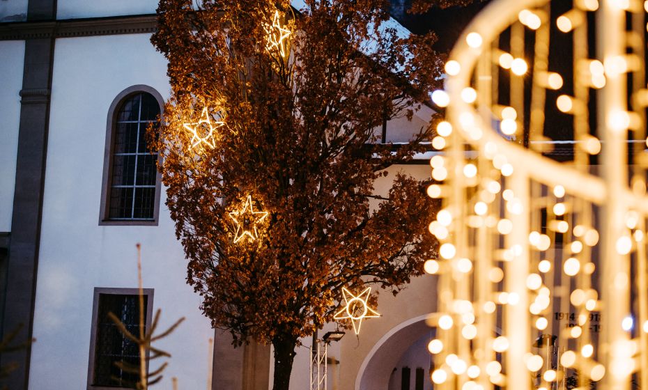 Zauberwald 2023 Zauberwald 2023