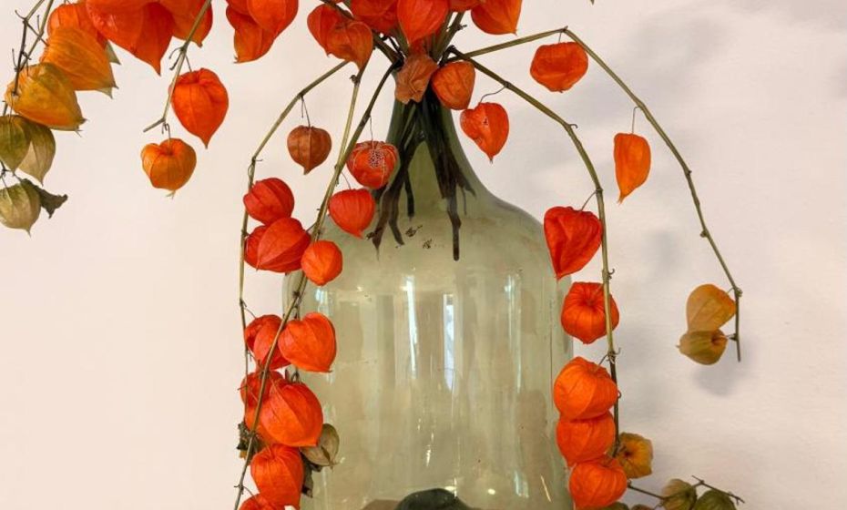 Auszeit mit Weitblick! Ankommen & Loslassen