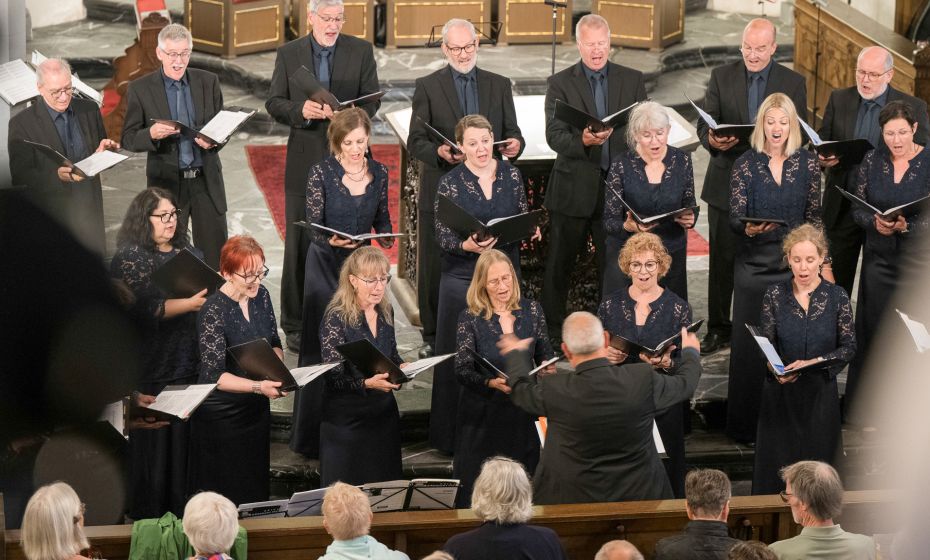 Vocale Neuburg Basilikakonzert 2025.jpeg