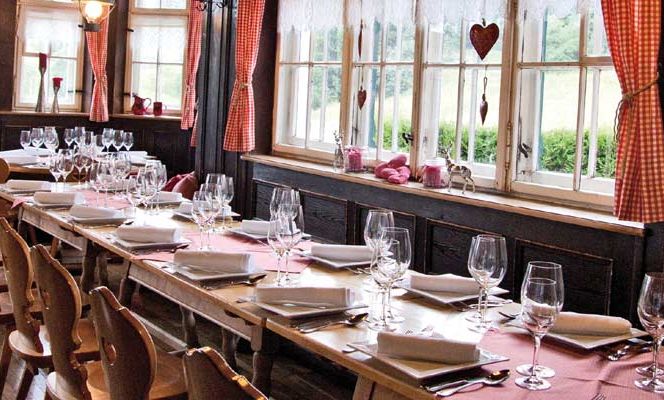 Pfänderdohle Pfänderdohle