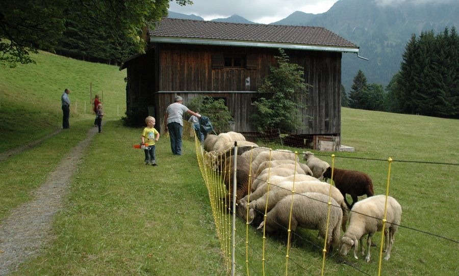 Ferienhütte "Birihof" - Kofler, Laterns Ferienhütte "Birihof" - Kofler, Laterns