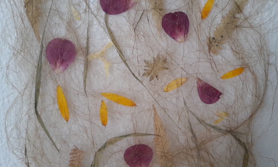 UaB B&B Ferienhof Kaufmann, Lochau