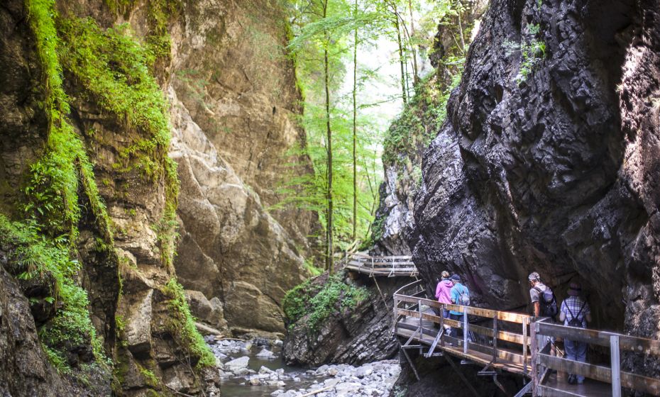 Alplochschlucht Alplochschlucht
