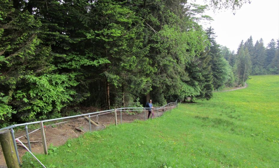 Zwischen Wald und Wiese fÃ¼hrt der Weg ins Tal
