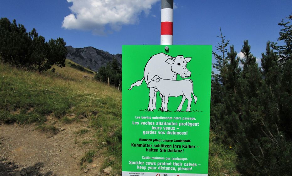 Bitte beachten sie die Hinweise zu ihrer eigenen Sicherheit