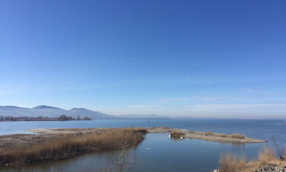 Bodensee-Vorarlberg Tourismus Lagunenrundweg