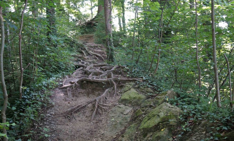Wanderweg Doppelmayr-Zoo nach Bildstein