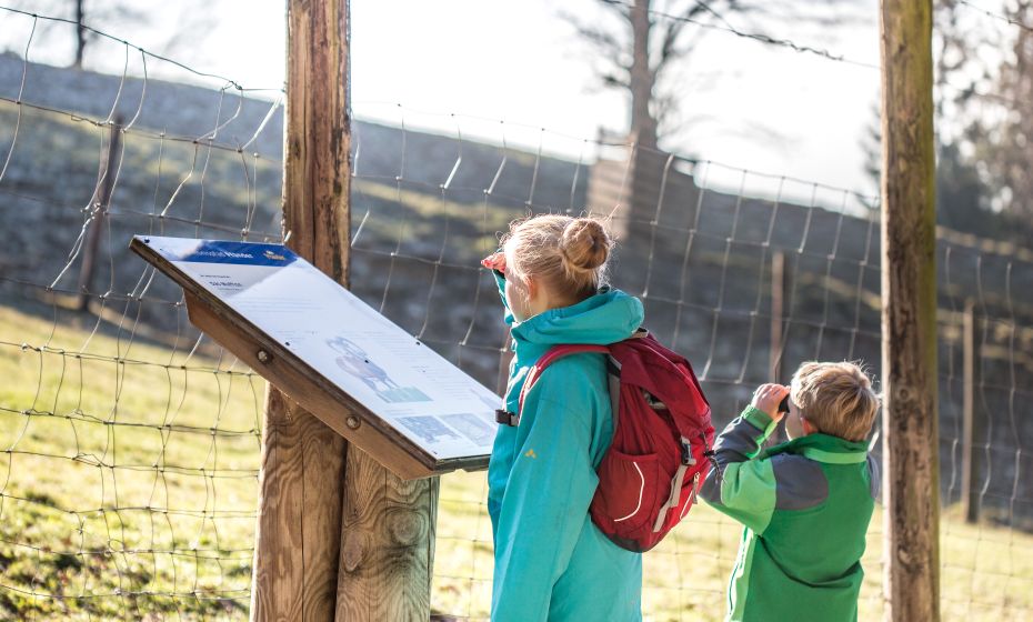 Pfänder Alpenwildpark Pfänder Alpenwildpark