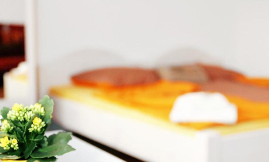 Hostel Villa Viva Hostel Villa Viva