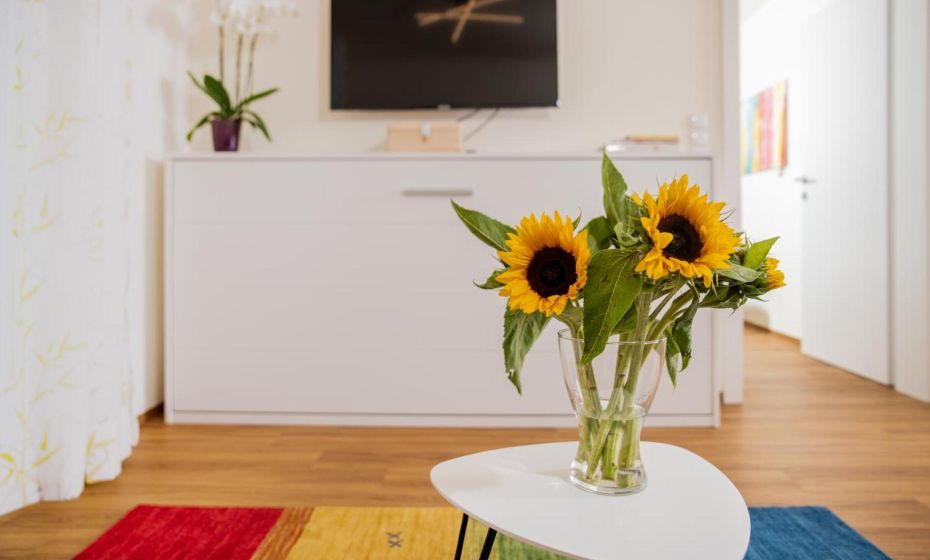 Cityapartment Dornbirn 50 qm