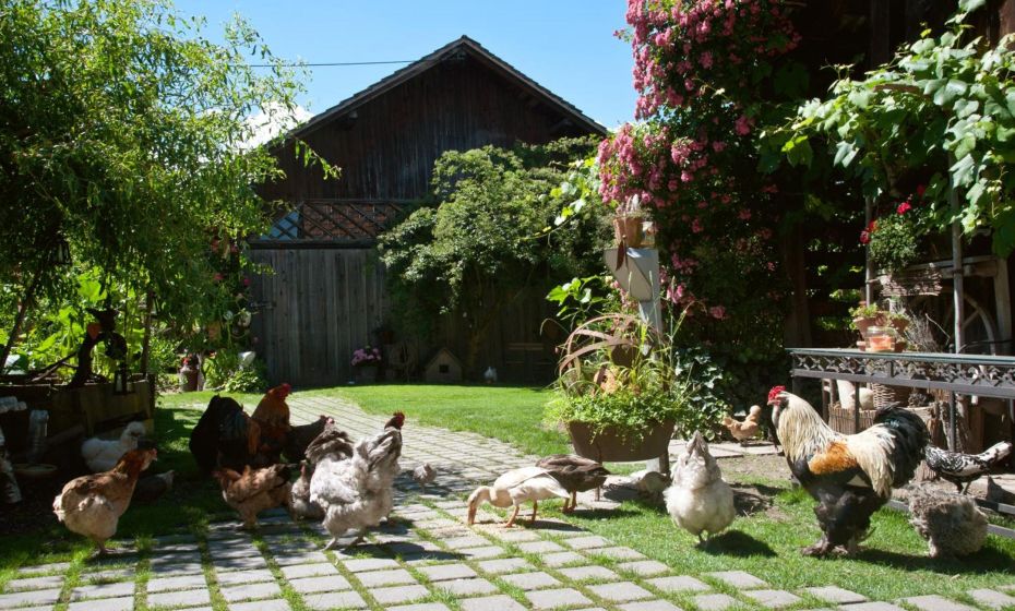 Hotel Restaurant Mohren