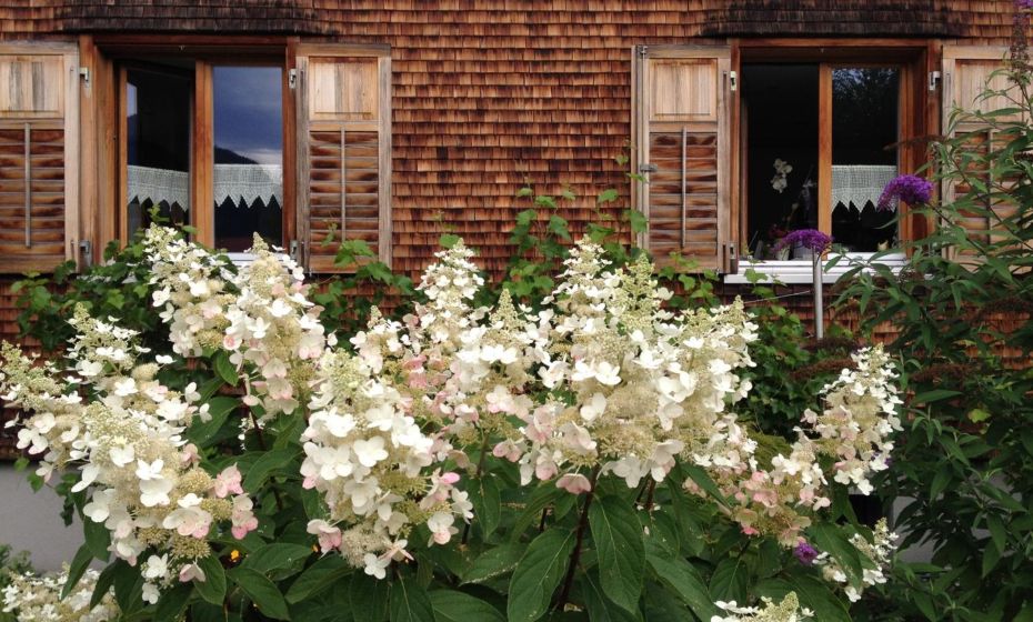 mama käthe - Apartments mama käthe - Apartments