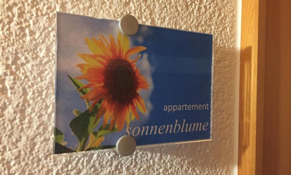 Sunnaschi Appartements - Wohnungen oder gesamt als "HÃ¼tte"