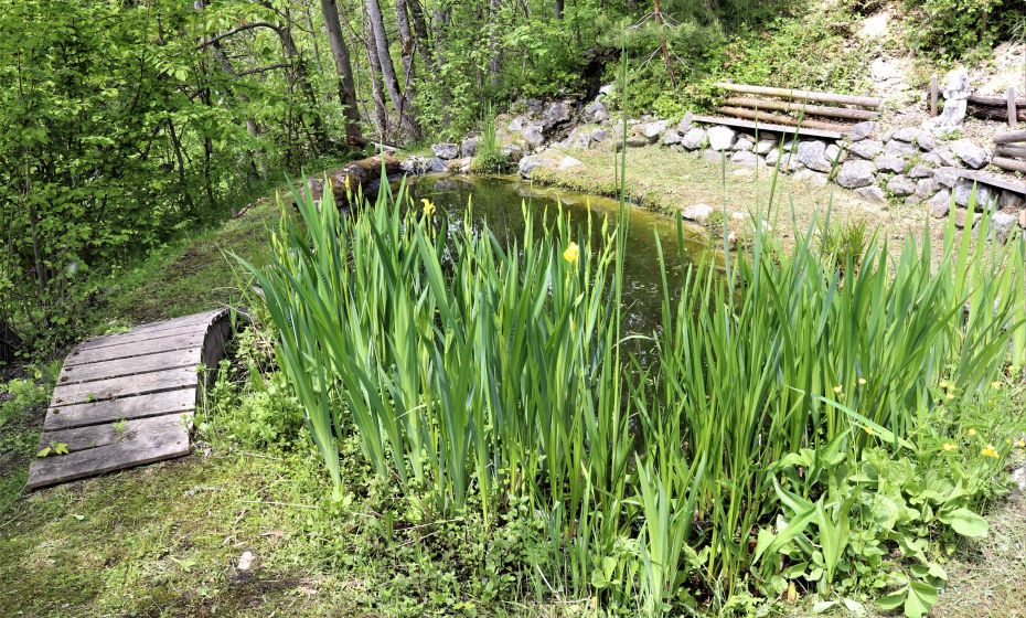 Ferienhaus fibe, Laterns Ferienhaus fibe, Laterns