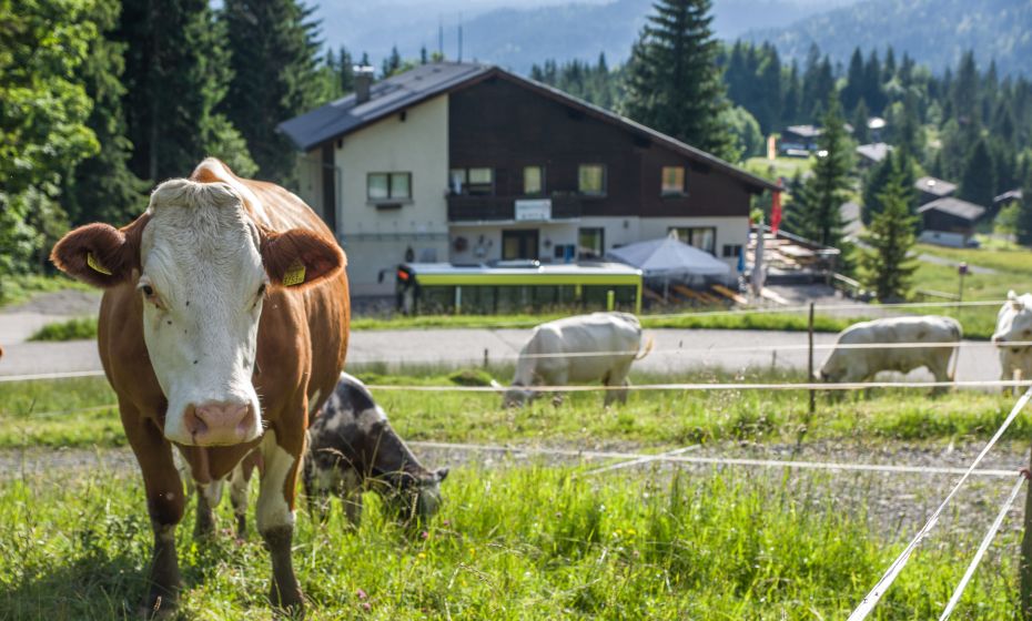 Gasthaus HeumÃ¶ser, Dornbirn-Ebnit