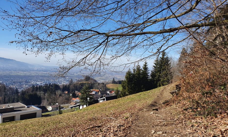 Ausblick von Dornbirn Watzenegg