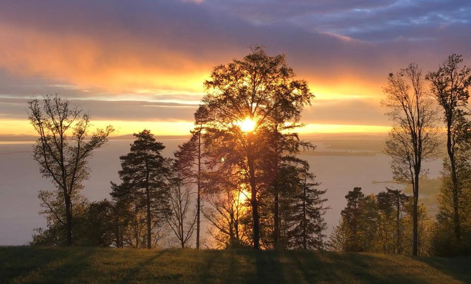 Seeblick Appartements Henle