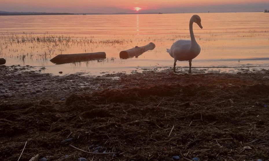 Ferienhaus HÃ¤mmerleÂ´s