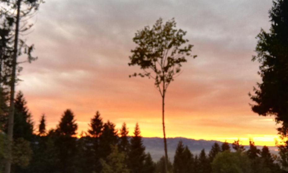 1 ZI Appartement Zauberwald 1 ZI Appartement Zauberwald