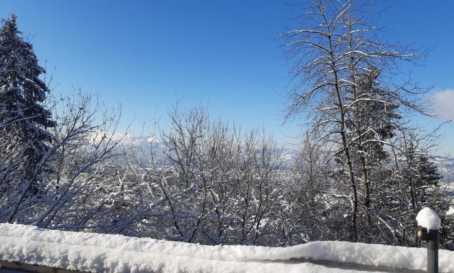 Ferienwohnung Bodenseeblick