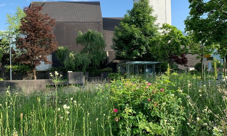 Vereinshauswiese Vereinshauswiese