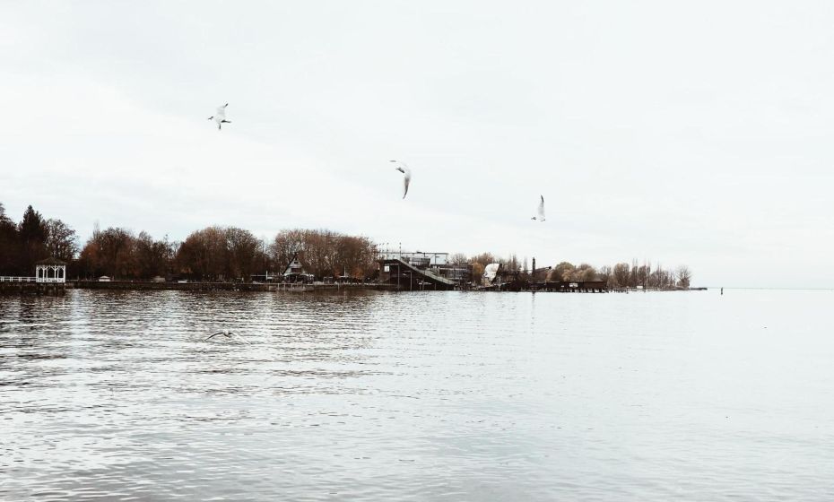 Ferienwohnung Bregenz 6 top 4