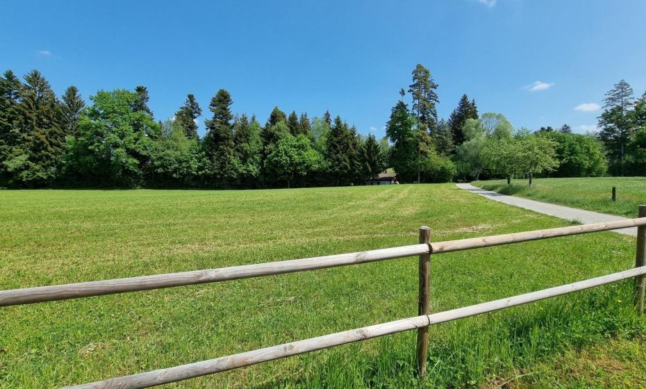 Gasthof - Auszeit im Bad Diezlings - Adults only