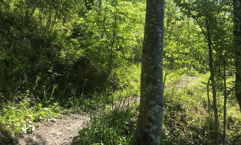 Radtour Dornbirn Gütle Kobelalpe schiebe-tragestelle Radtour Dornbirn Gütle Kobelalpe schiebe-tragestelle