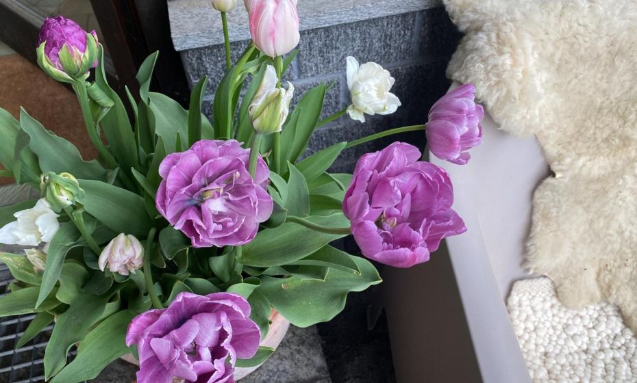 mama käthe - Apartments mama käthe - Apartments