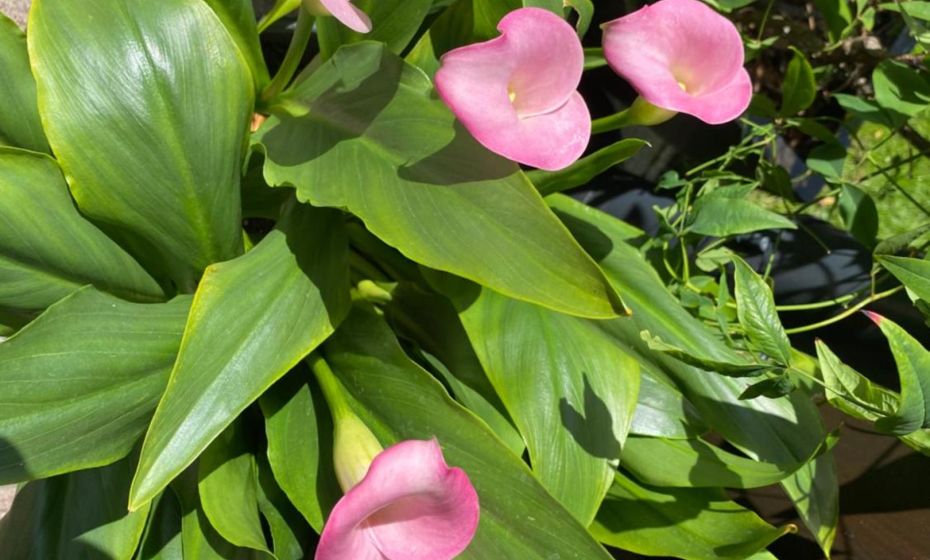 mama käthe - Apartments mama käthe - Apartments