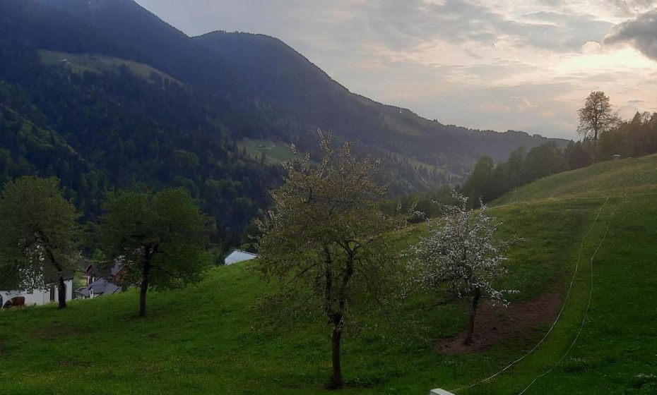 Sunnaschi Appartements - Wohnungen oder gesamt als "HÃ¼tte"