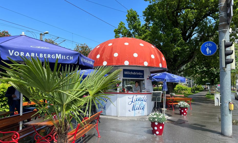 Milchpilz Bregenz Milchpilz Bregenz