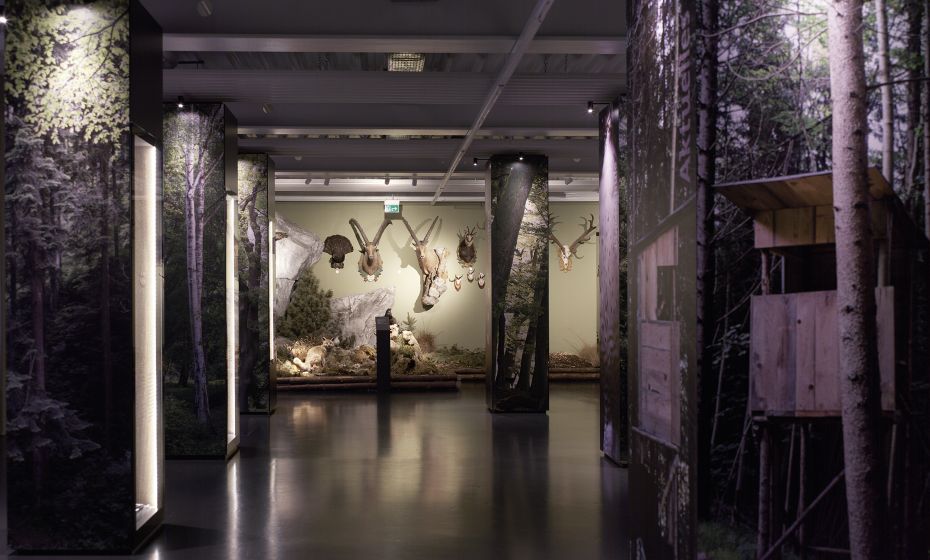 Vlbg Museumswelt Jagd Vlbg Museumswelt Jagd