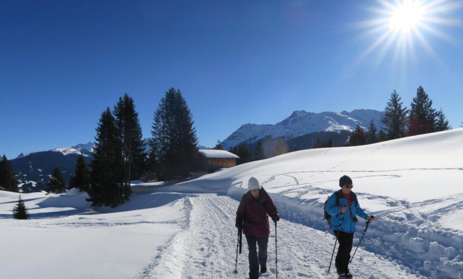 Negrelli Appartement