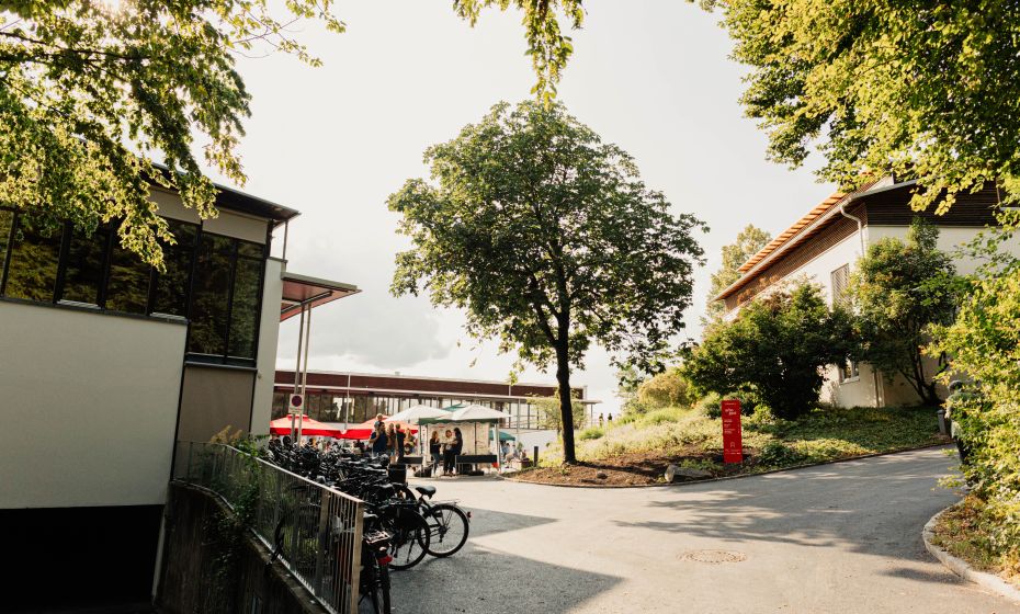 St. Arbogast, Ankommen St. Arbogast, Ankommen