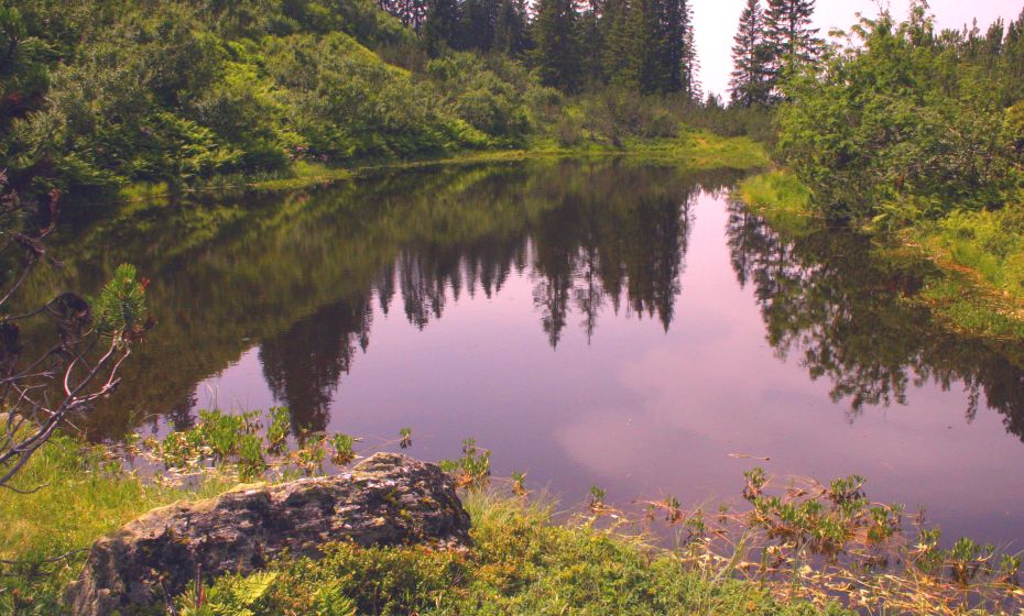 Stubner See Stubner See