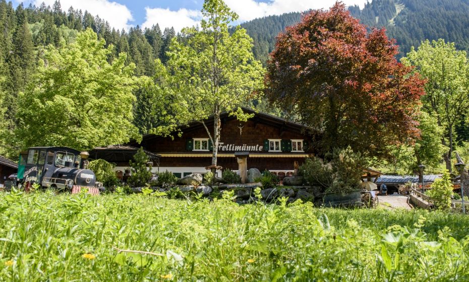 Alpengasthaus FellimÃ¤nnle