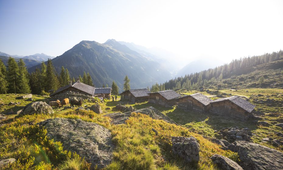 Alpguesalpe Alpguesalpe