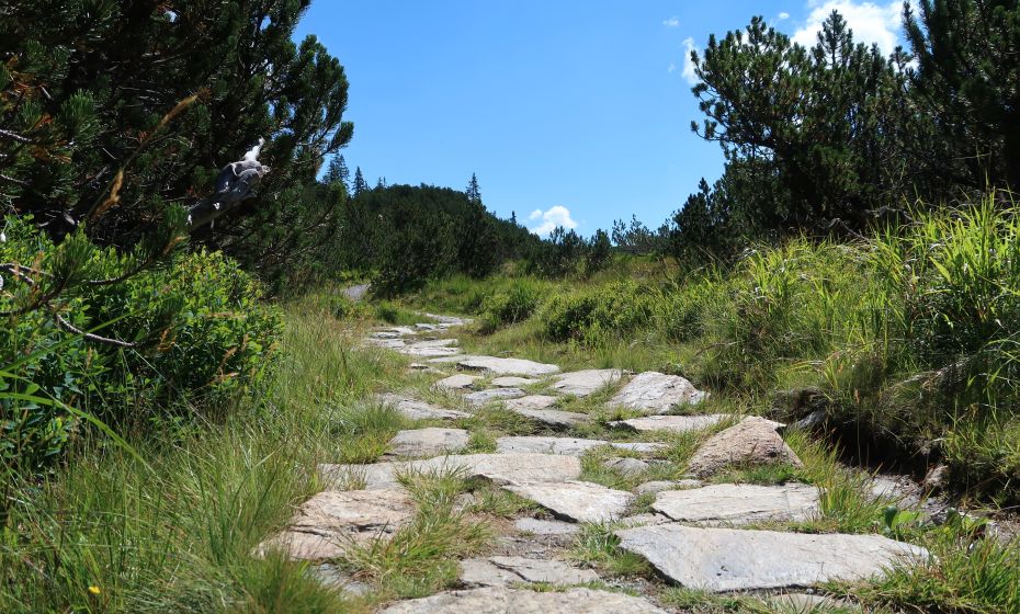 __NO_NAME__ __NO_NAME__