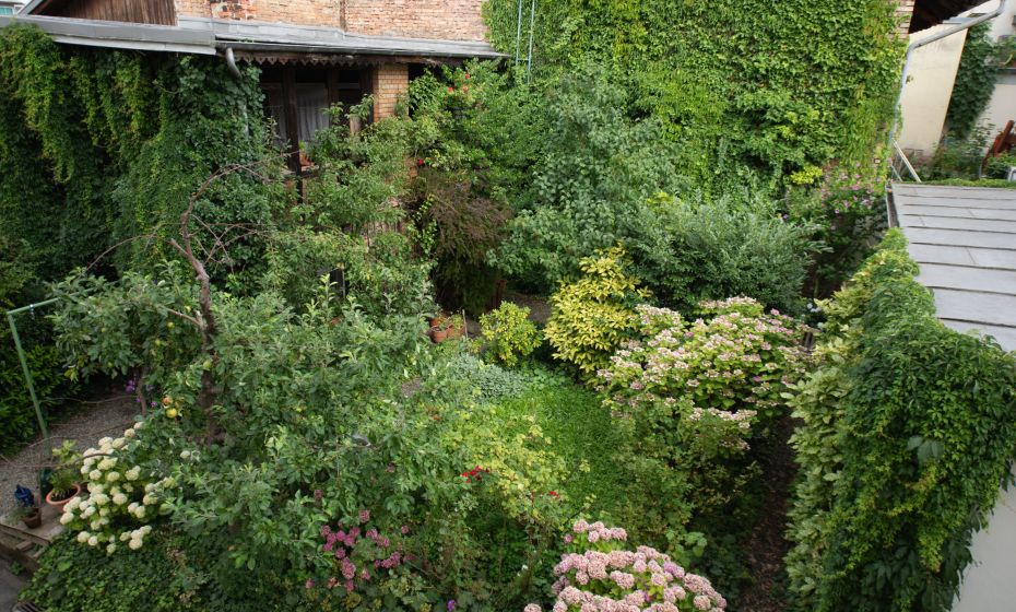 Ferienwohnung Manuela Bregenz, Hof Ferienwohnung Manuela Bregenz, Hof