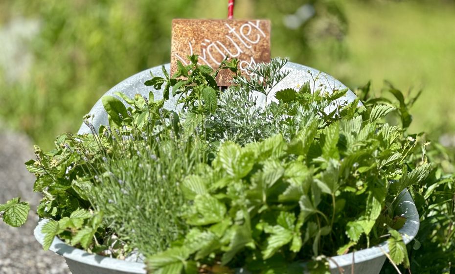 Probiar Amol Weg - Gerhard Blaas