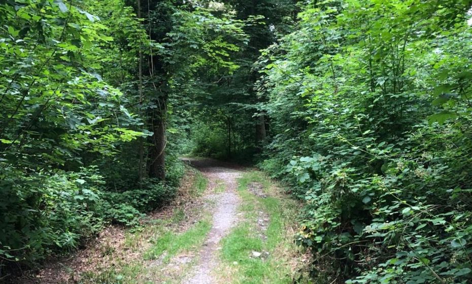 Apartments "Am Ardetzenberg"