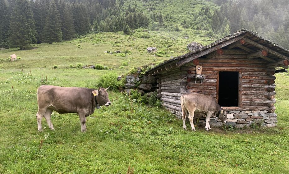 __NO_NAME__ __NO_NAME__