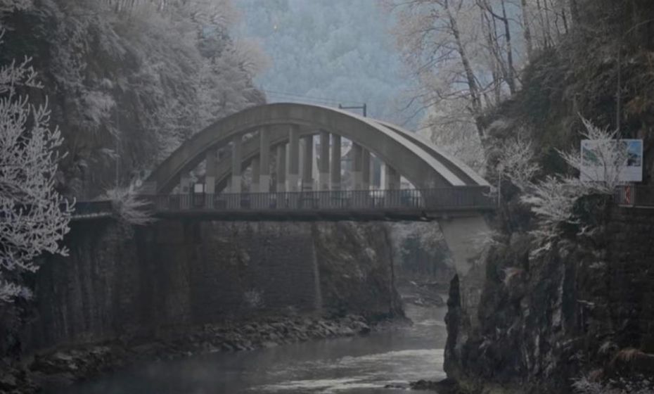 Apartments "Am Ardetzenberg"