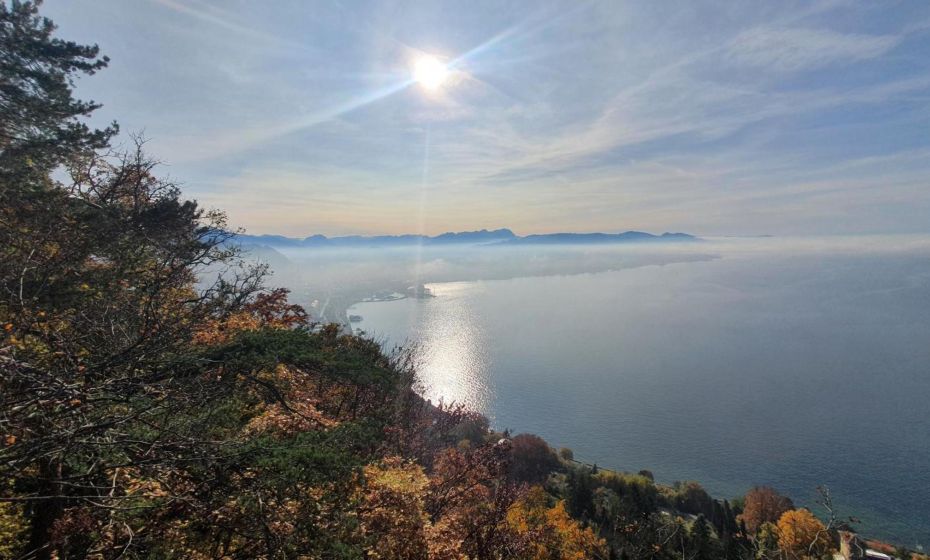 F E R I E N W O H N U N G "Am Halbenstein"