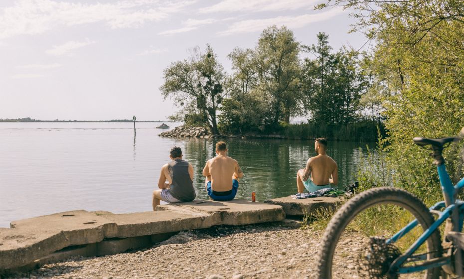 Hard Grüner Damm Hard Grüner Damm