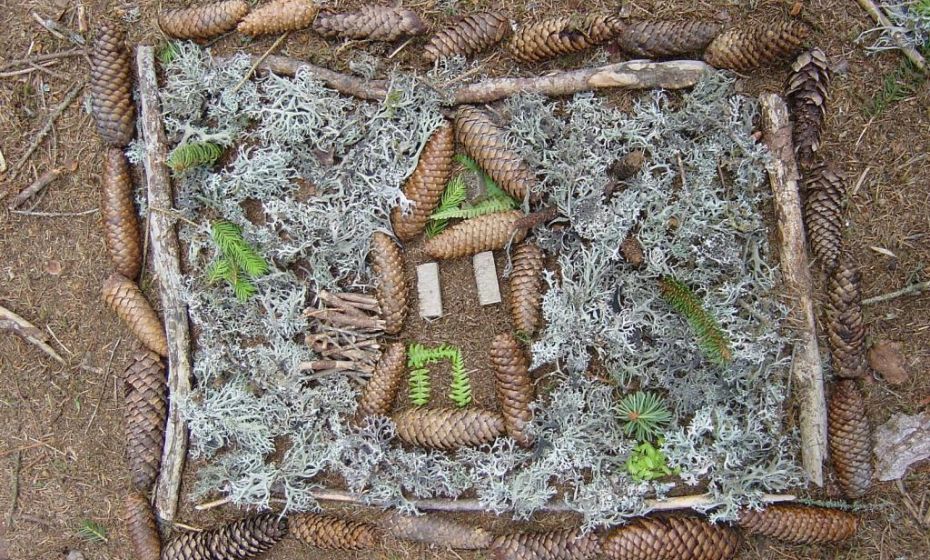 Christina Wachter - Kristbergbahn Waldbild