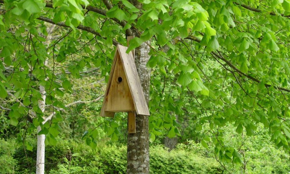 Ferienwohnung Geismayr Ferienwohnung Geismayr