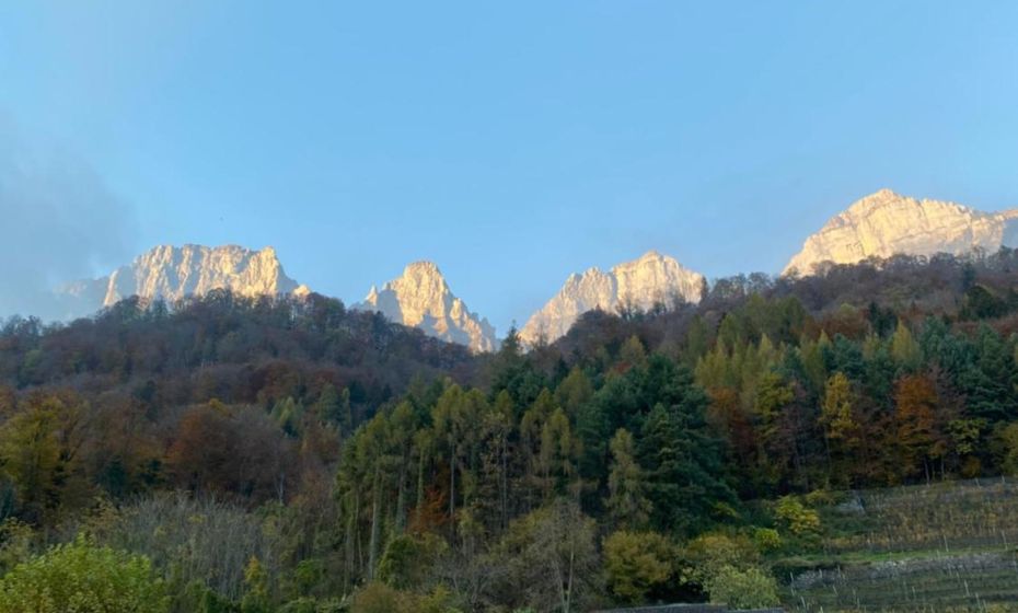 KopfRausch Appartements KopfRausch Appartements